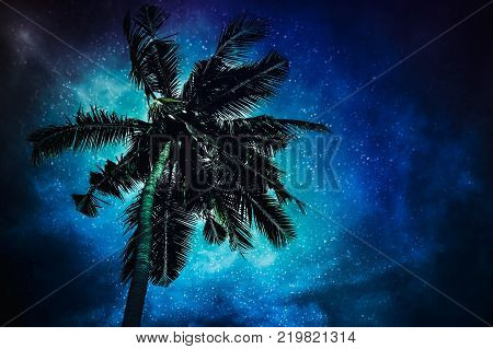Glowing of the milky way galaxy in the night sky with many stars above coconut plam. Beautiful natural glitter of starry on darkness background. Serenity nature.