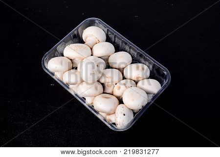 Photo Picture of  Fresh White Mushroom Food Texture Background