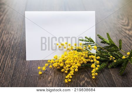 Mimosa And Paper On A Wooden Background