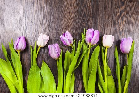 Mimosa And Paper On A Wooden Background