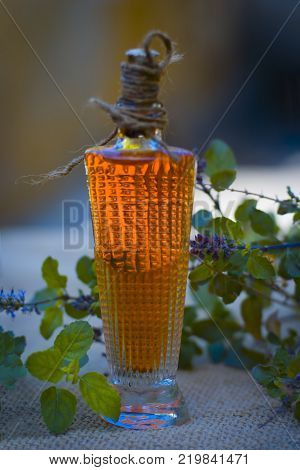 Close Up Of Oil Of Ocimum Tenuiflorum.., Holy Basil In A Transparent Bottle.