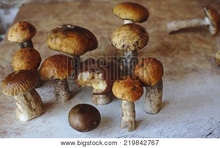 boletus mushrooms in a basket and dry mushroom on wooden table overhead