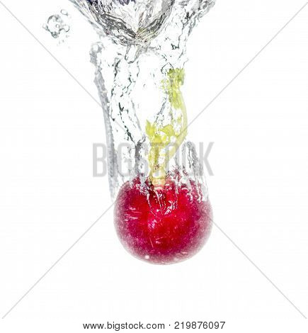 radish in water isolated on white background .