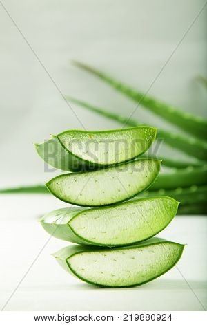 Tropical fresh organic aloe vera slices ,white background.