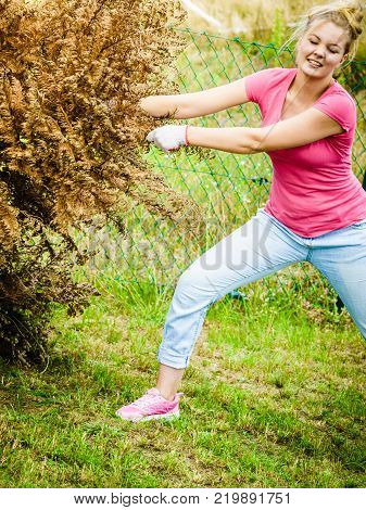 Woman Removing Dried Thuja Tree From Backyard