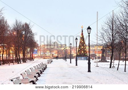 Alley at winter evening in microdistrict Rybatskoe on the outskirts of St. Petersburg Russia.