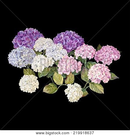 Vector highly detailed realistic illustration set of hydrangea flowers for fabric greeting cards 