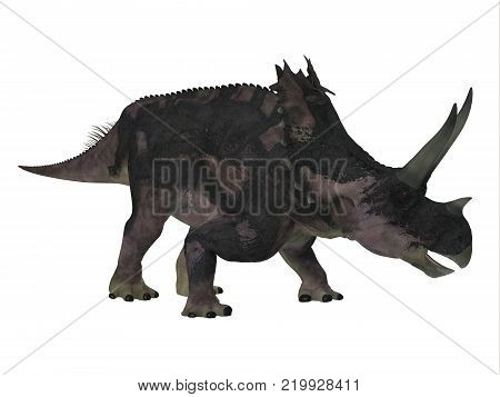 Agujaceratops Dinosaur Side Profile 3D illustration - Agujaceratops was a herbivorous ceratopsian dinosaur that lived in Texas, USA during the Cretaceous Period.