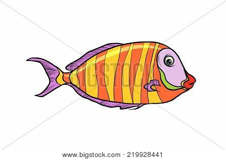 cichlid aquarium fish. Isolated on white background. Pop art retro vector illustration