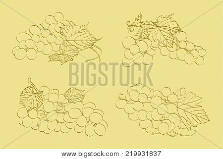 Four bunches of grapes on a light background