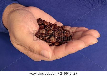 dark warm coffee beans cupped in hand