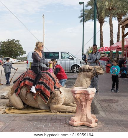 Yeriho, Israel, November 25, 2017 : The camel driver helps the visitor to descend from the camel in Yeriho in Israel