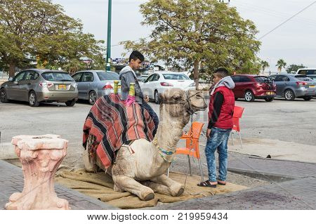 Yeriho, Israel, November 25, 2017 : Camel drivers with a camel in anticipation of a ride on a camel in Yeriho in Israel