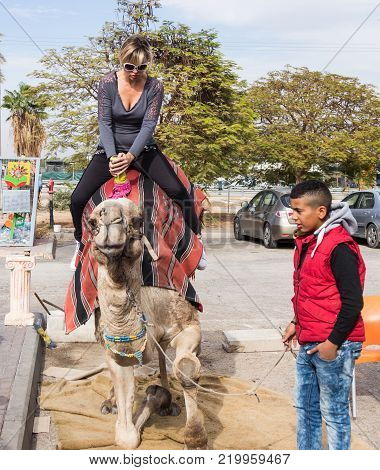 Yeriho, Israel, November 25, 2017 : The camel driver helps the visitor to sit on a camel in Yeriho in Israel