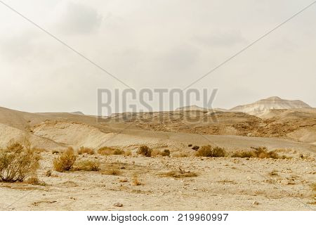 Landscape scenic view on wild nature rocks and sand in dry desert in Israel. Hot middle east wilderness. Scenic outdoor view on dirt land. Summer heat and sunlight, nobody on photo