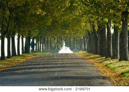 Fransk falder land vognbane