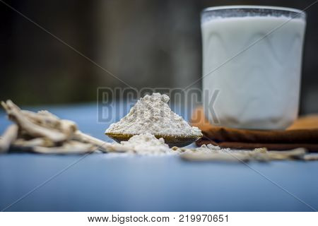 Close Up Of Ayurvedic Herb   Satavari,asparagus Racemosus With Its Powder And Root With Milk Glass.