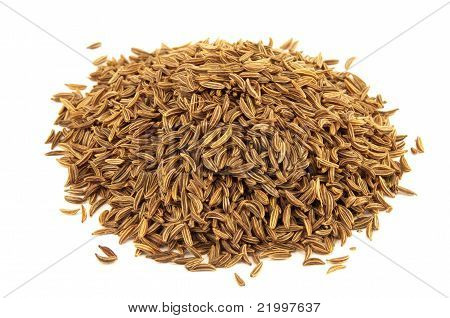 เมล็ด Caraway