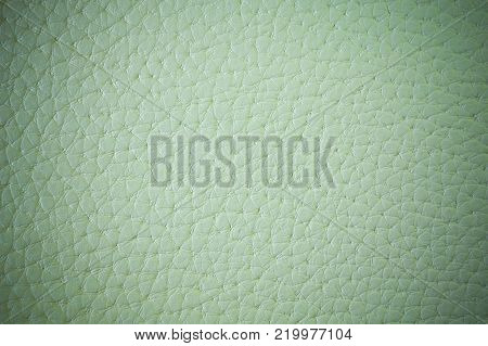 exture of artificial leather. Green background or backdrop of leatherette with vignette.
