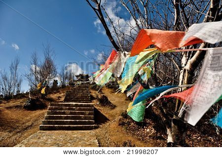 Tibetian dua bayrakları