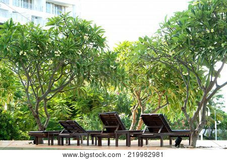 Outdoor wooden daybed under the tree in the public park