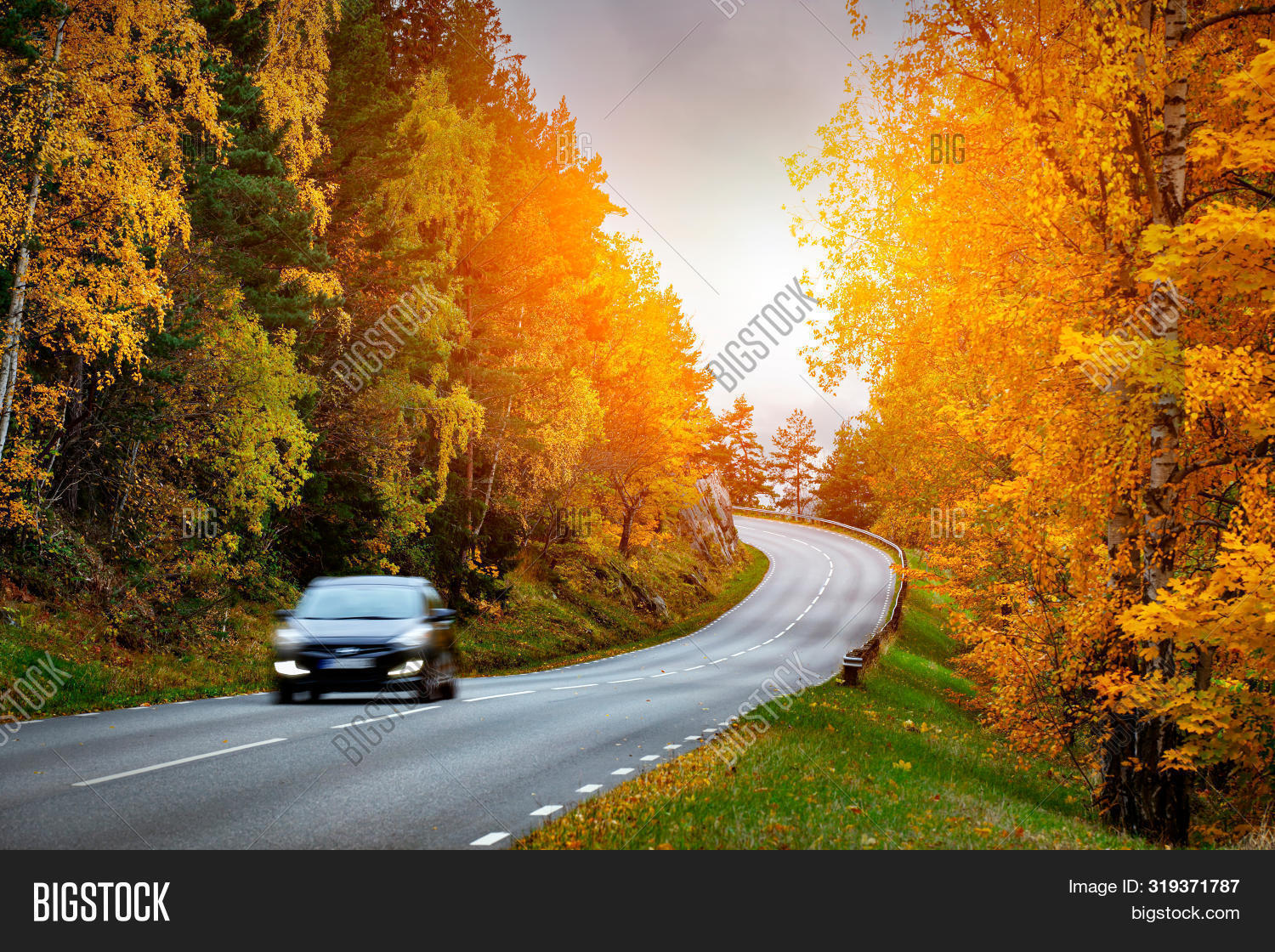 Car On Road Forest, Image & Photo (Free Trial) Bigstock