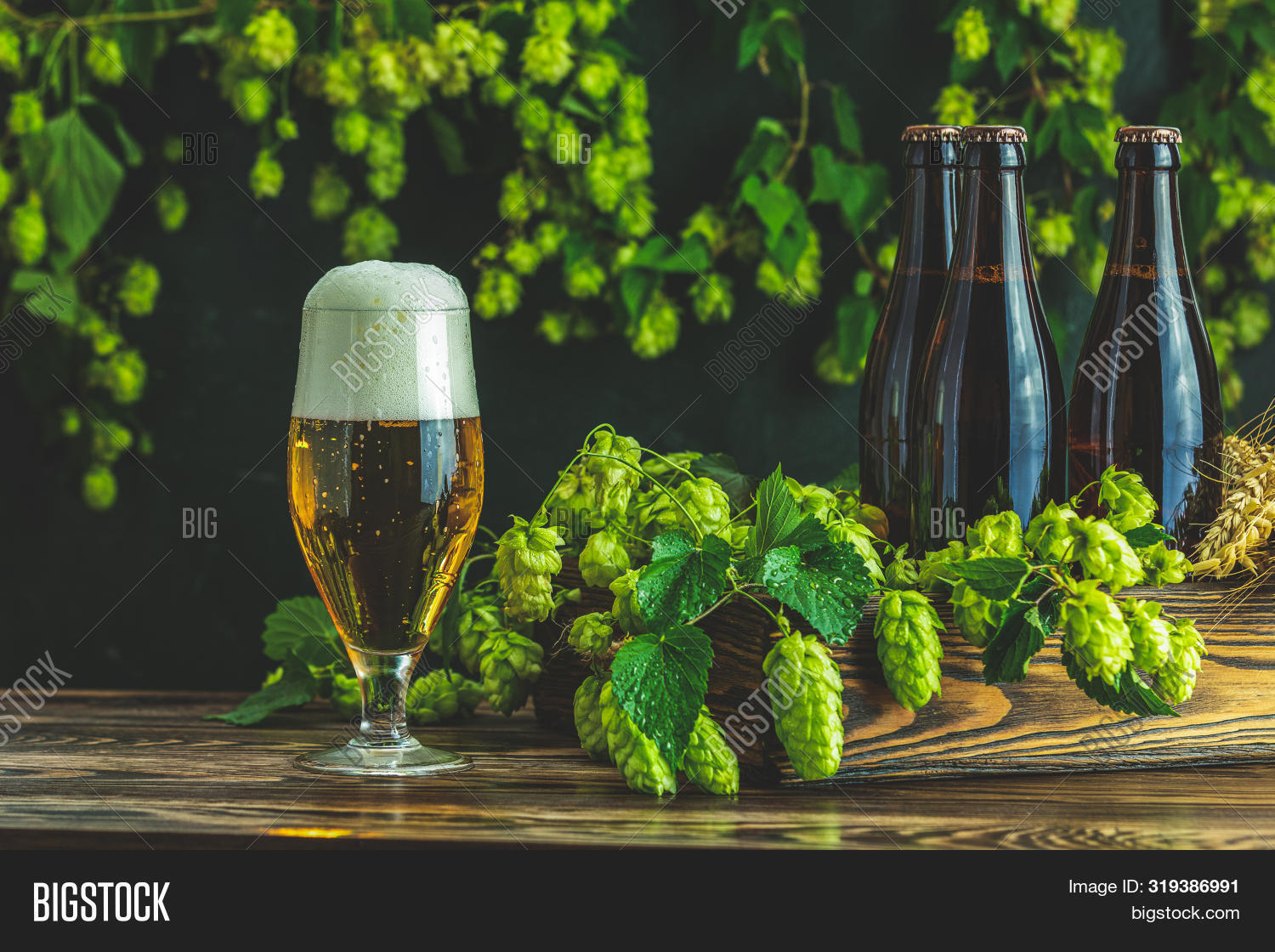 Beer Hop Plant. Still Image & Photo (Free Trial) Bigstock