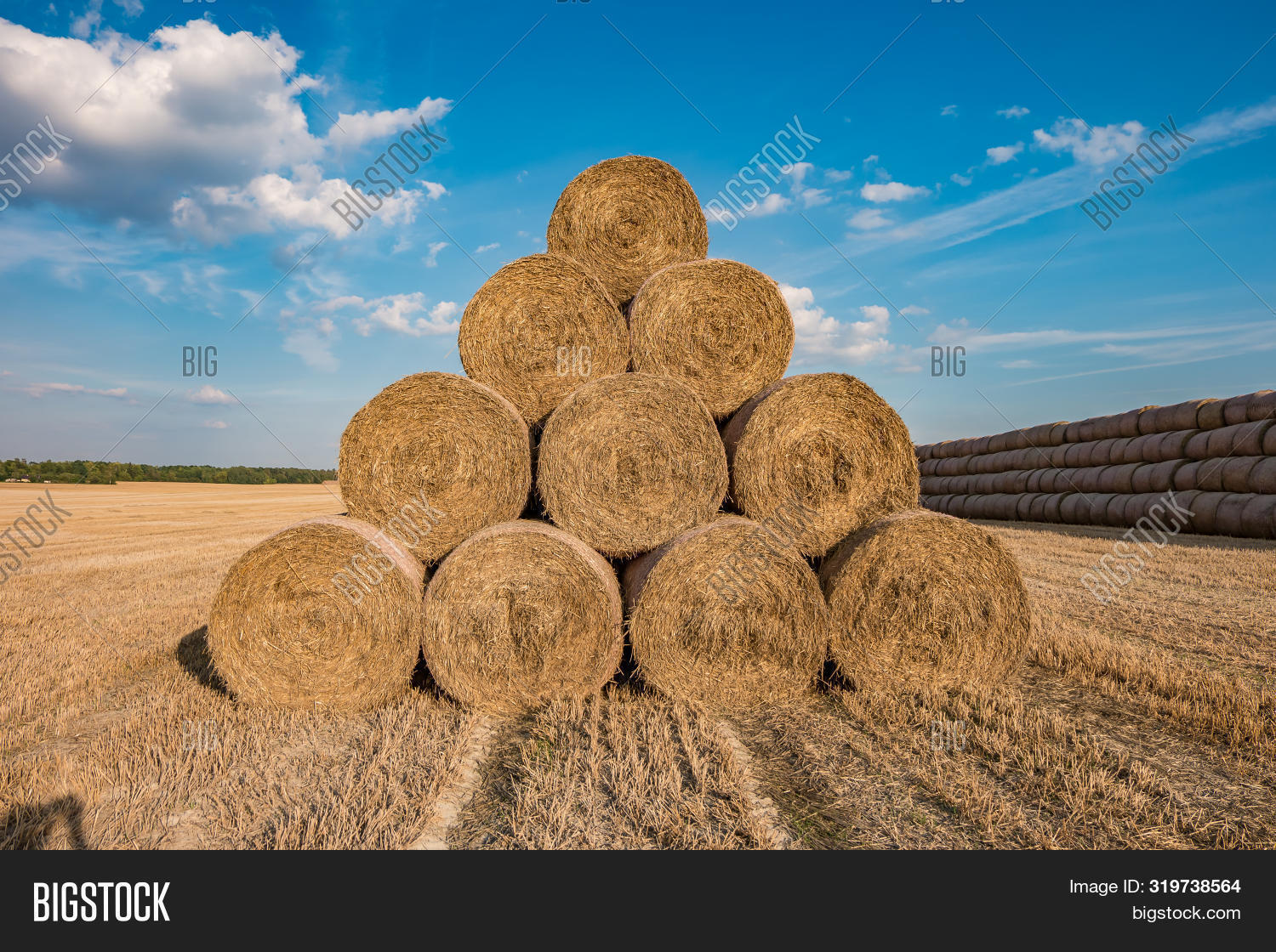Холм из соломы. Холм из соломы. Куча солома для кабачок. Куча соломы 4 букв сканворд. Куча соломы 4 букв сканворд.