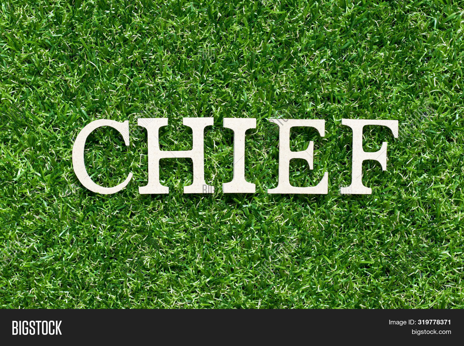 owner of chiefs - Ilustrasi 3
