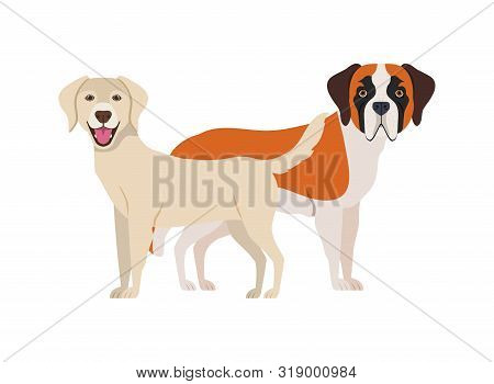 Cute And Adorable Dogs On White Background Vector Illustration Design