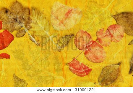 Botanical Print With Leaf Prints On Natural Silk. Hand-drawn Illustration.