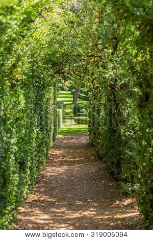 Plant Tunnel in the gardens of the Jardins de Marqueyssac in the Dordogne region of France