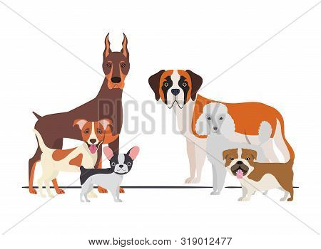 Set Of Adorable Dogs On White Background Vector Illustration Design