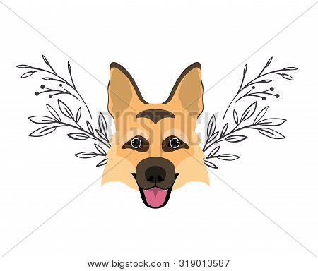 Head Of Cute Pastor Aleman Dog On White Background Vector Illustration Design