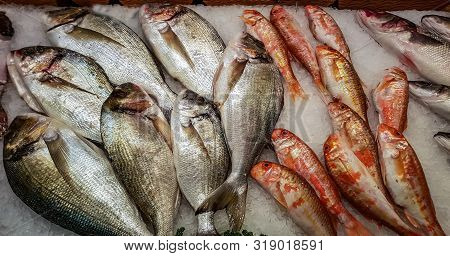 Closeup Of Freshly Caught Gilt-head Breams And Striped Red Mullets On Ice For Sale At Fish Market