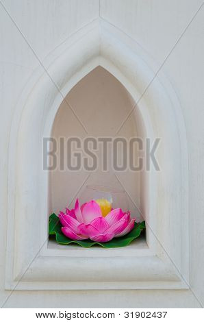 Včelí vosk Lotus v The Wall (Thajsko)