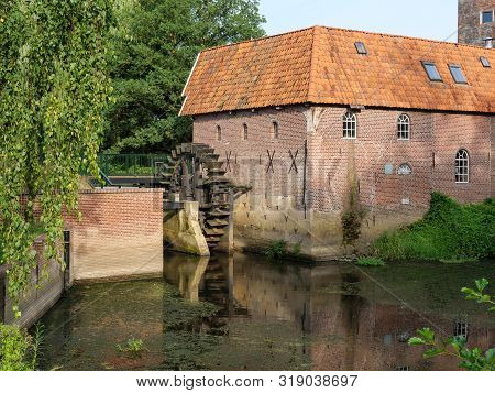 cows and a watermill in the netherlands