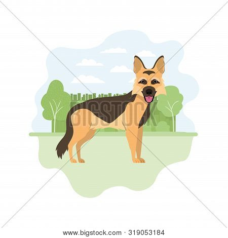 Cute Pastor Aleman Dog On White Background Vector Illustration Design