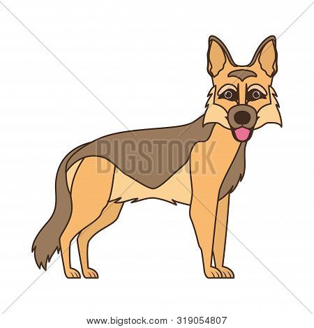 Cute Pastor Aleman Dog On White Background Vector Illustration Design