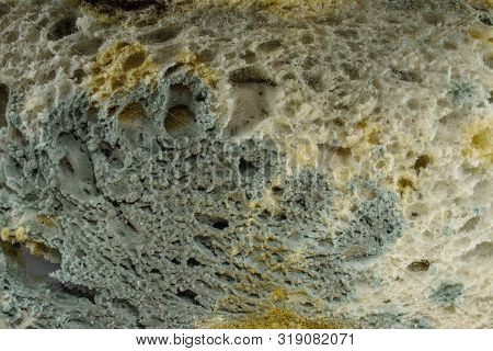 Bread - Old And Moldy Sliced, Isolated On White Background.