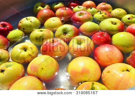 Ukrainian Bright And Colorful, Fresh Apples Plucked From A Tree And Lying With Water For Washing. Br