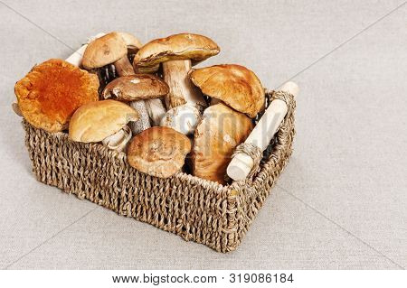 Various Forest  Mushrooms In Basket On Fabric Background. Fresh Raw Fungus On Table. Scaber Stalk (b