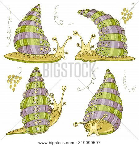 Set With Cute Achatina Fulica Snails. Funny Snails For For Decorating Food Packaging Or Cosmetics