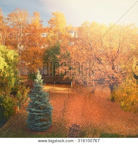Autumn Leaves And Yellow Trees In A Back Yard Of Traditional House In Eastern Berlin, Germany
