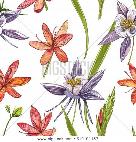 Kafir Lilies Flowers. Seamless Patterns. Collection Of Hand Drawn Flowers And Plants. Botany. Set. V