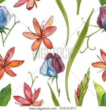 Kafir Lilies Flowers. Seamless Patterns. Collection Of Hand Drawn Flowers And Plants. Botany. Set. V