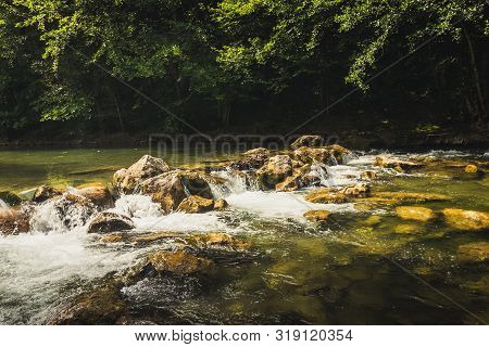 Nature Rainforest River Cascade. Stream In Forest Nature. Green Forest Stream. Nature. Stream. Natur