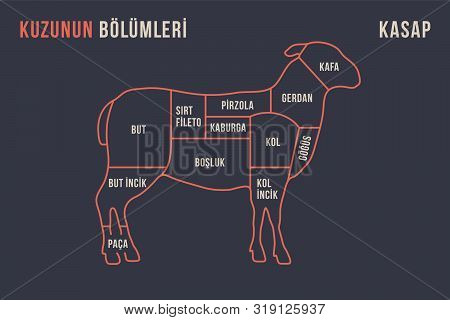 Meat Cuts. Poster Butcher Diagram And Scheme - Lamb