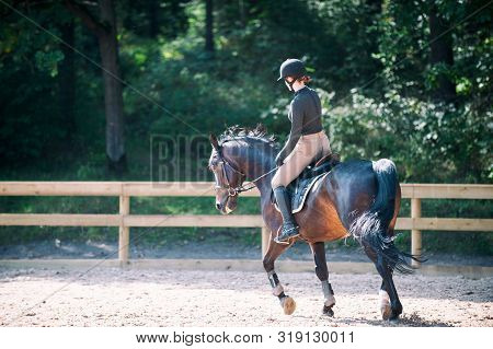 Training Process. Young Teenage Girl Riding Trotting Bay Horse On Sandy Arena Practicing At Equestri