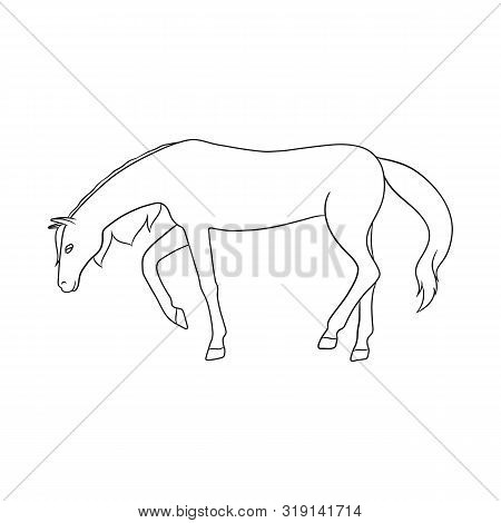 Isolated Object Of Running And Horse Sign. Collection Of Running And Hoofed Stock Vector Illustratio